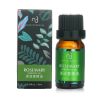 NATURAL BEAUTY - Essential Oil - Rosemary E1F1024G 10ml/0.34oz