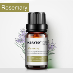 Botanical Aromatherapy Essential Oil (Option: Rosemary)